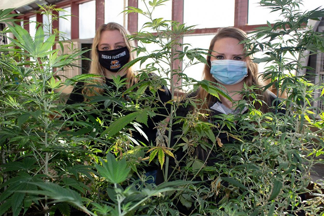 Rost and Gasseling in Doane's greenhouse